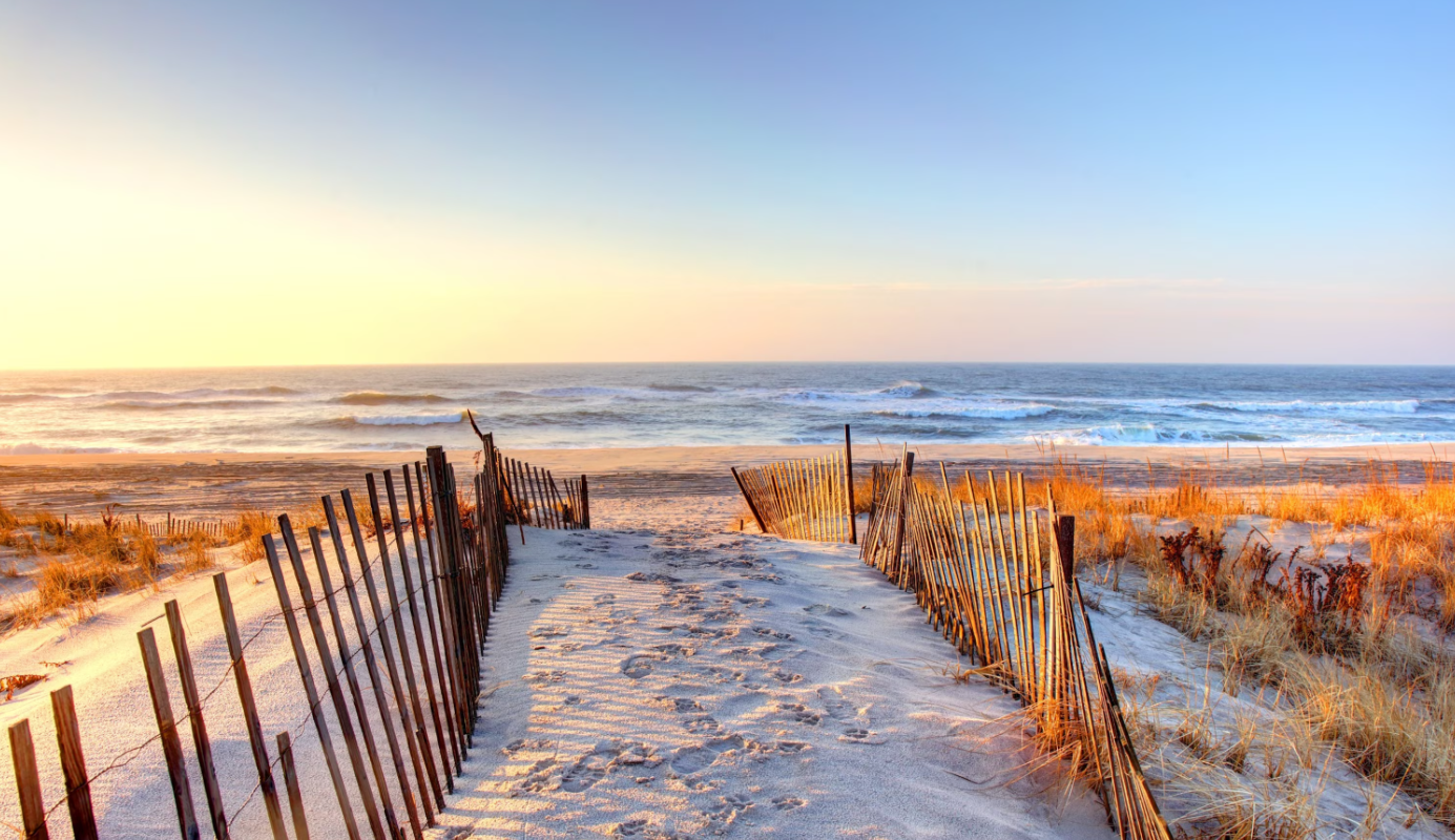 Understanding the Impact of High Bacteria Levels Leading to Beach Closures Across the United States 2